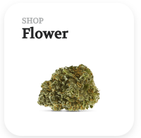 An image of a cannabis flower with a CTA "Shop Flower"